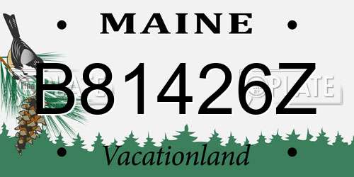 B81426Z Maine License Plate