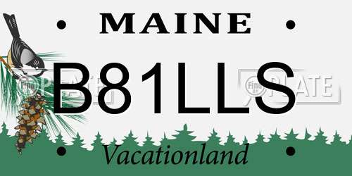 B81LLS Maine License Plate
