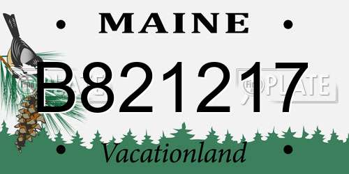 B821217 Maine License Plate