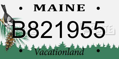 B821955 Maine License Plate