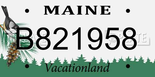 B821958 Maine License Plate