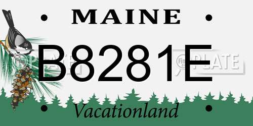B8281E Maine License Plate