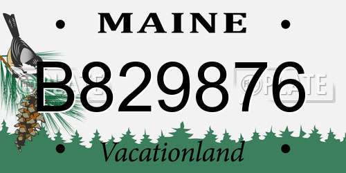 B829876 Maine License Plate