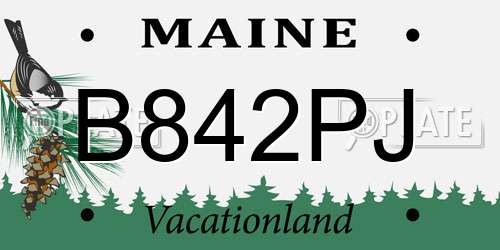 B842PJ Maine License Plate