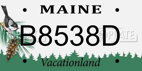 B8538D Maine License Plate