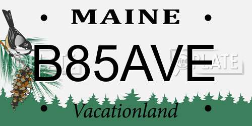 B85AVE Maine License Plate