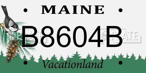 B8604B Maine License Plate