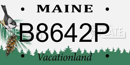 B8642P Maine License Plate