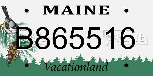 B865516 Maine License Plate