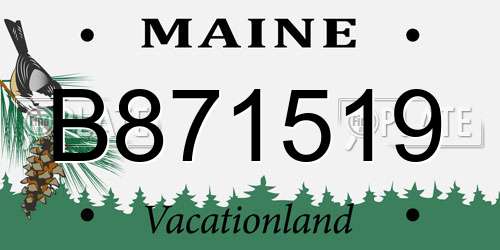 B871519 Maine License Plate