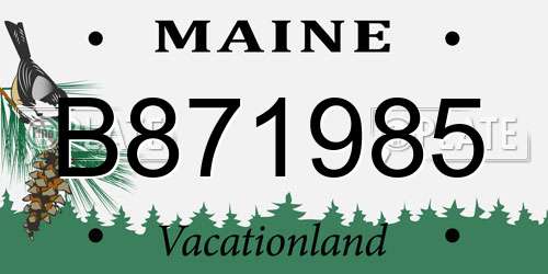 B871985 Maine License Plate