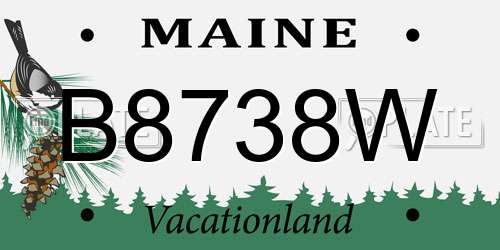 B8738W Maine License Plate