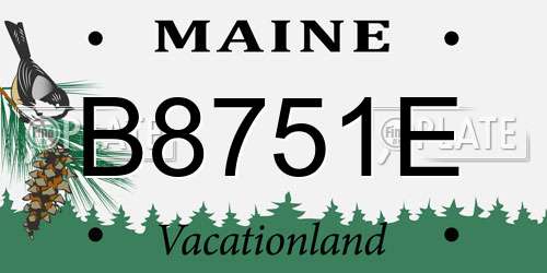 B8751E Maine License Plate