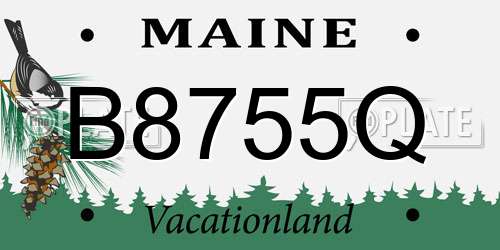 B8755Q Maine License Plate