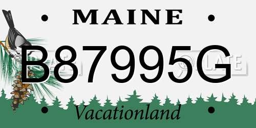 B87995G Maine License Plate