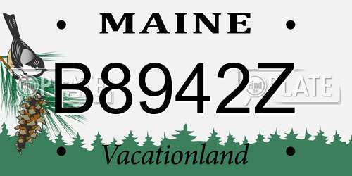 B8942Z Maine License Plate