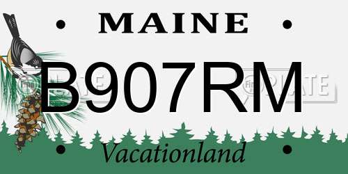 B907RM Maine License Plate