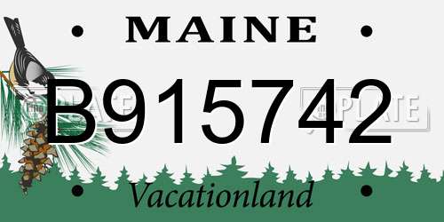 B915742 Maine License Plate
