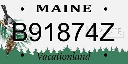 B91874Z Maine License Plate