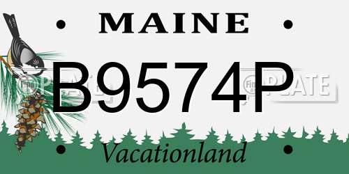B9574P Maine License Plate