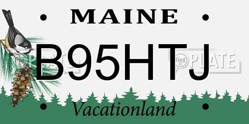 B95HTJ Maine License Plate