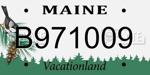B971009 Maine License Plate