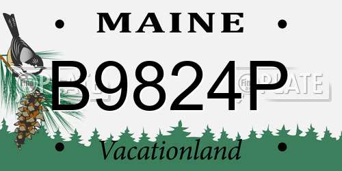 B9824P Maine License Plate