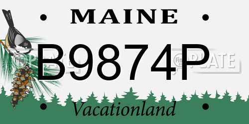 B9874P Maine License Plate