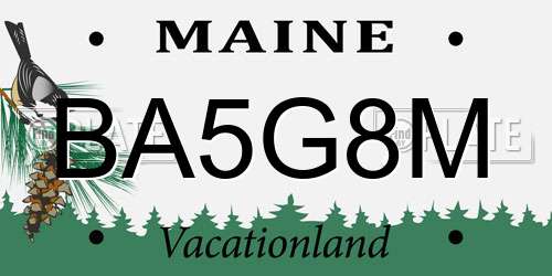 BA5G8M Maine License Plate