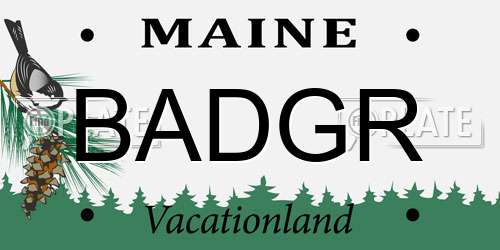 BADGR Maine License Plate