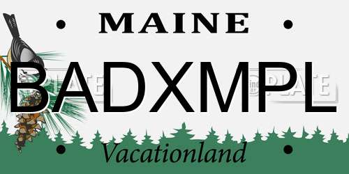 BADXMPL Maine License Plate