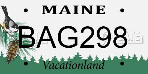 BAG298 Maine License Plate