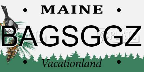 BAGSGGZ Maine License Plate