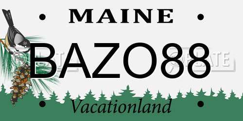 BAZO88 Maine License Plate