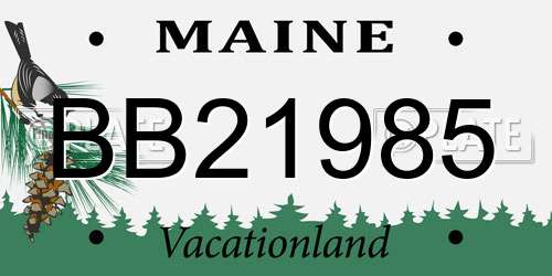 BB21985 Maine License Plate