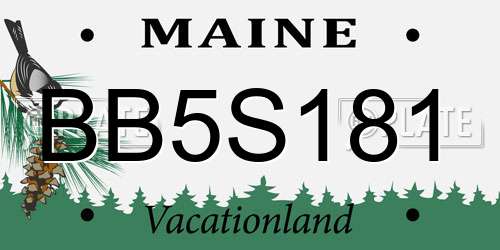 BB5S181 Maine License Plate