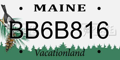 BB6B816 Maine License Plate