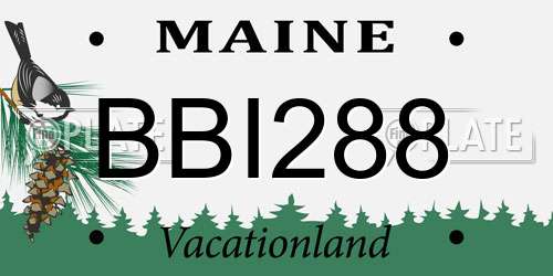 BBI288 Maine License Plate