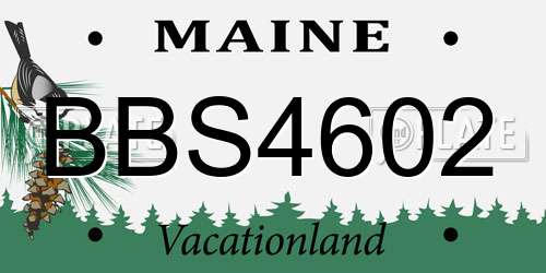 BBS4602 Maine License Plate
