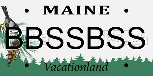 BBSSBSS Maine License Plate