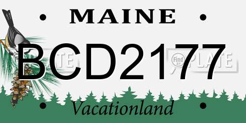 BCD2177 Maine License Plate