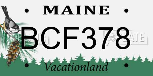 BCF378 Maine License Plate