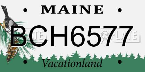 BCH6577 Maine License Plate