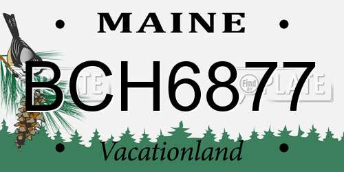 BCH6877 Maine License Plate