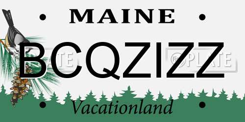 BCQZIZZ Maine License Plate