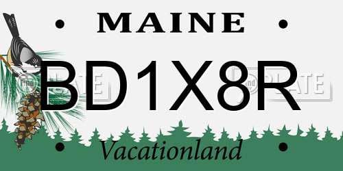 BD1X8R Maine License Plate