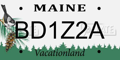 BD1Z2A Maine License Plate