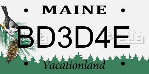 BD3D4E Maine License Plate