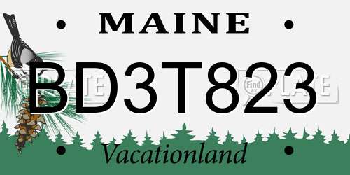 BD3T823 Maine License Plate