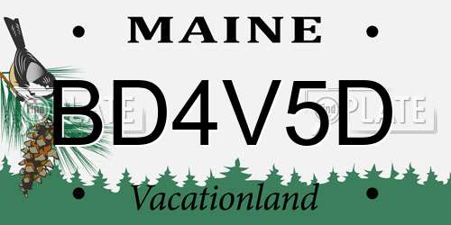 BD4V5D Maine License Plate